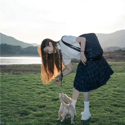贞操带